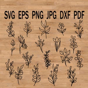 Paquete de hojas Svg Ramas Plantas Svg Clipart, Hojas dibujadas svg, silueta de hoja