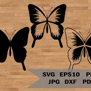 Butterflies template SVG files for cricut and Silhouette, Butterfly vector images, Png stencil template ornaments, butterfly for cut, Design
