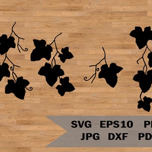 Ivy branch svg, Ivy Leaf, ivy Digital Download, Leaf Silhouette SVG, Leaf SVG, vines svg, vines vector, vines clipart, Ivy birthday