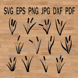Svg de caña, dibujo de hierba para su diseño, archivo de corte para circuito, clipart de totora, vector de calcomanía, planta silvestre Svg
