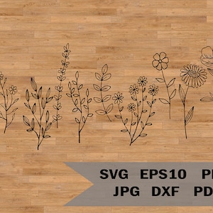 Plantes sauvages modèle svg, svg pour amoureux des plantes, jardin, svg jardinage, fleurs sauvages svg, modèle à découper et à imprimer, dessin de contour de fleurs sauvages