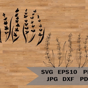 Archivo svg de lavanda, archivo plotter, silueta floral, estampado de lavanda, svg de naturaleza, diseño de tatuaje, paquete de flores svg, flores silvestres svg