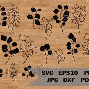 Eucalipto SVG, árbol de goma SVG, hojas SVG, naturaleza svg, archivo de corte de eucalipto, paquete de eucalipto, ramas de eucalipto, svg dibujado a mano, rama