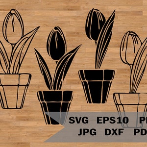 Tulpe Blumentopf Vorlage Svg, Muster zum Schneiden Tulpe, Laser schneiden, Filz schneiden oder Papier Vektor, SVG für Cricut und Silhouette