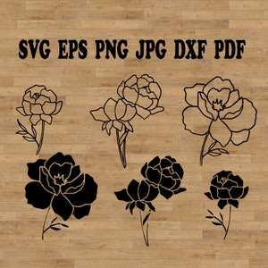 Peonies Svg, Floral Line Art clipart, floral png, peony tattoo, Botanical Elements, hand drawn peony