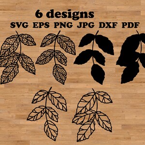 Hoja de otoño SVG, Hoja de otoño SVG, Hoja SVG, Clipart de hoja, Paquete de hojas SVG, Hojas de árbol SVG, Rama SVG