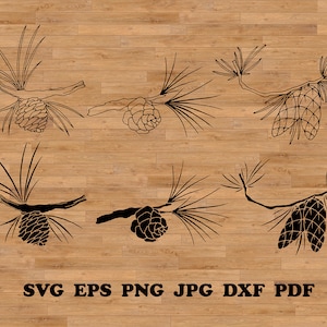 Svg forêt de pins, Svg de cônes d'épicéa, fichier de coupe de pin, graphique de sapin, sticker plantes, pommes de pin de Noël, svg d'arbre de Noël