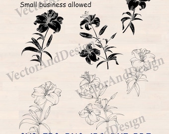 Lily svg, template flower cricut, silhouette Laser cut files, Lilly PDF Instant Download