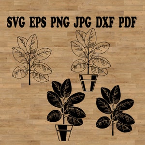Topf Ficus SVG, Topfpflanze, Laser geschnitten Vinyl, Zimmerpflanze, Pflanze im Topf SVG, Sukkulenten SVG, Pflanzengarten SVG, Kaktus SVG, Pflanzer SVG