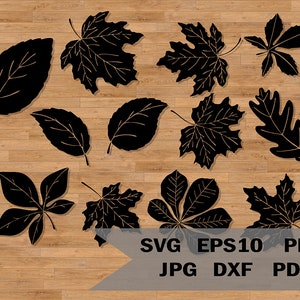 Plantilla de hojas de otoño SVG, diseño de 12 hojas, árboles SVG, naturaleza SVG, corte de Acción de Gracias Halloween, archivo de corte láser de hojas de otoño Cricut, silueta
