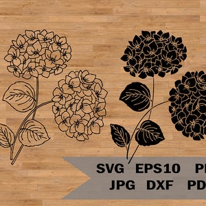 Hydrangea template svg, Garden flower SVG cut file, Floral Cricut svg cut file, Garden Svg, Hydrangea clipart, Botanical SVG PNG clipart