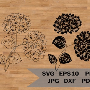 Modello di ortensia in formato svg, file di taglio SVG per fiori da giardino, file di taglio svg per Cricut floreale, Svg per giardino, clipart di ortensia, clipart PNG SVG botanico