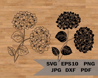 Hortensie Vorlage svg, Garten Blume SVG schneidet die Datei, Floral Cricut svg schneidet die Datei, Garten svg, Hortensie Clipart, botanische SVG PNG Clipart