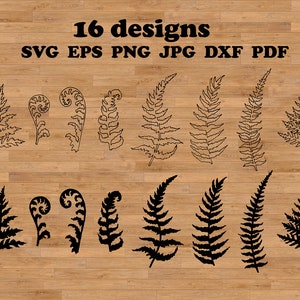 Svg de helecho, svg de amante de las plantas, paquete de svg boho, svg de hoja tropical, clip art botánico, hojas de helecho, paquete de conjunto de paquetes, follaje decorativo