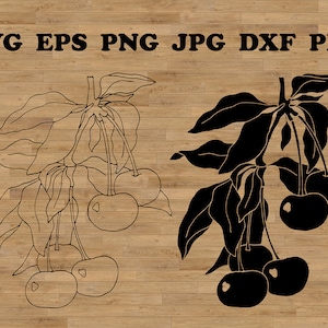 チェリー svg、チェリーの枝 svg、チェリーのクリップアート、チェリーのイラスト、チェリーのベクター アート、フルーツ svg、フルーツのクリップアート、チェリーの画像