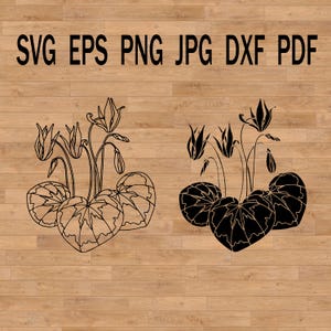 Arquivo svg de ciclâmen para criação de cartões postais, cartões de visita e convites de casamento, design floral Cricut, buquê floral svg, svg botânico