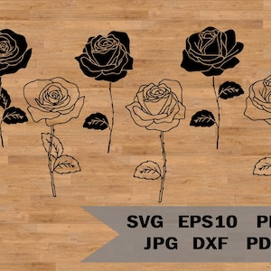 bruiloft bloem svg, rozen clipart svg, botanische svg, roos gesneden bestand, rozen sjabloon svg, roos stencil svg, bloemontwerp