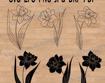 Narcissus Flowers Svg, daffodil line art, botanical simple art, daffodil painting
