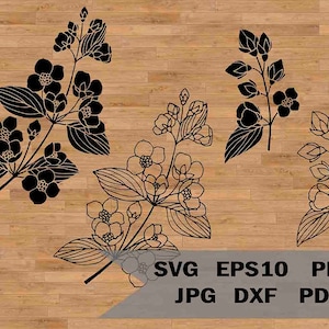 Plantilla de flores de jazmín svg, flores de jardinería svg, clipart de boda de flores, archivo de corte de jazmín, flor alpina, svg de boda de flores