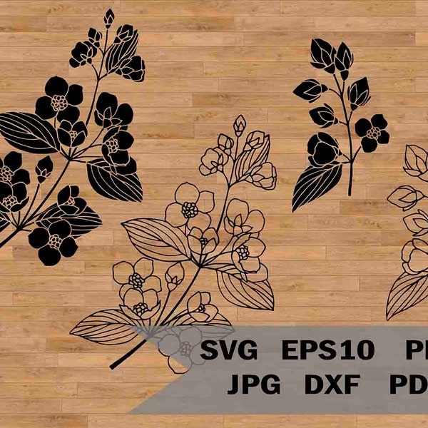 Jasmine flowers template svg, Gardening flower svg, flower wedding clipart, jasmine cut file, alpine flower, flower wedding svg