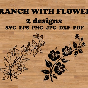 Zweig mit Hibiskus, Hibiskusblume, Hawaii-Blume, Hibiskus SVG, Tropische Blume SVG, Zweigblätter svg