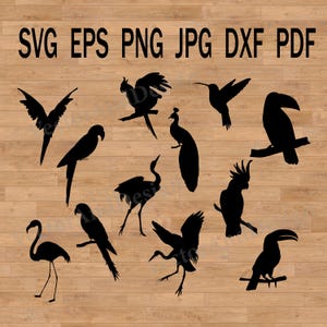 Tropical Birds Silhouette SVG Bundle: Cricut & Silhouette Cut Files (Digital Download)