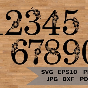 Números florais svg, arquivo de números svg, arquivo de corte de números, alfabeto svg, silhuetas de números, números de aniversário svg, números 0-9, fonte svg
