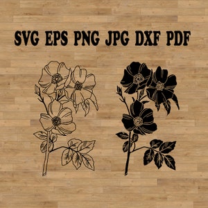 Rosa selvagem SVG, Rosa SVG, Silhueta de rosa, Tatuagem de rosa, Flor de primavera SVG, Arquivo de corte SVG de rosa, Pacote de SVG de rosas, Clipart de rosas