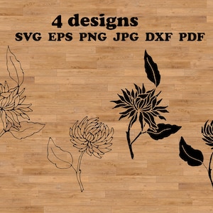 Crisantemo Svg, flor del mes de nacimiento, tallo de flor svg, flor de crisantemo, arte de crisantemo, svg botánico, plantilla de flores silvestres