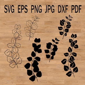 Eucalipto SVG, rama de árbol de goma SVG, hojas SVG, naturaleza svg, archivo de corte de eucalipto, paquete de eucalipto, ramas de eucalipto, svg dibujado a mano