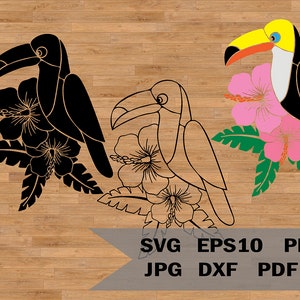 Clipart de verano tropical, plantilla de tucán y flores tropicales, calcomanía de flor de hibisco, plantas tropicales, para Cricut y Silhouette
