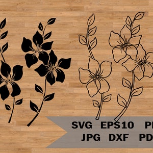Paquete de flores svg, flores silvestres svg, primavera svg, borde de flores svg, paquete de flores svg, contornos de flores svg, paquete de diseño de flores, flores dxf