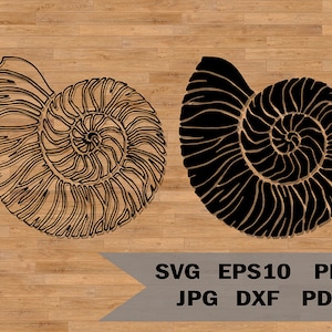 Shell template svg, Ocean svg, Shell cut file, Cricut Svg file, Silhouette cut files, Seashell svg decal, stencil, vinyl, laser cutting
