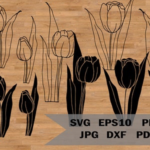 Tulips plantilla svg, tulipanes clipart, floral svg, svg botánico, diseño de flores, primavera Tulip vector, Bouquet SVG para Cricut y Silueta