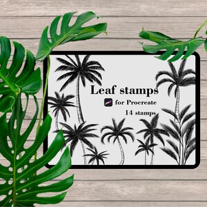 Könnte beinhalten: Eine digitale Kunstpräsentation mit schwarz-weißen Palmenillustrationen mit der Aufschrift "Leaf stamps for Procreate, 14 stamps". Die Präsentation ist von leuchtend grünen Monstera-Blättern umgeben, vor einem hellen Holzmaserungshintergrund.