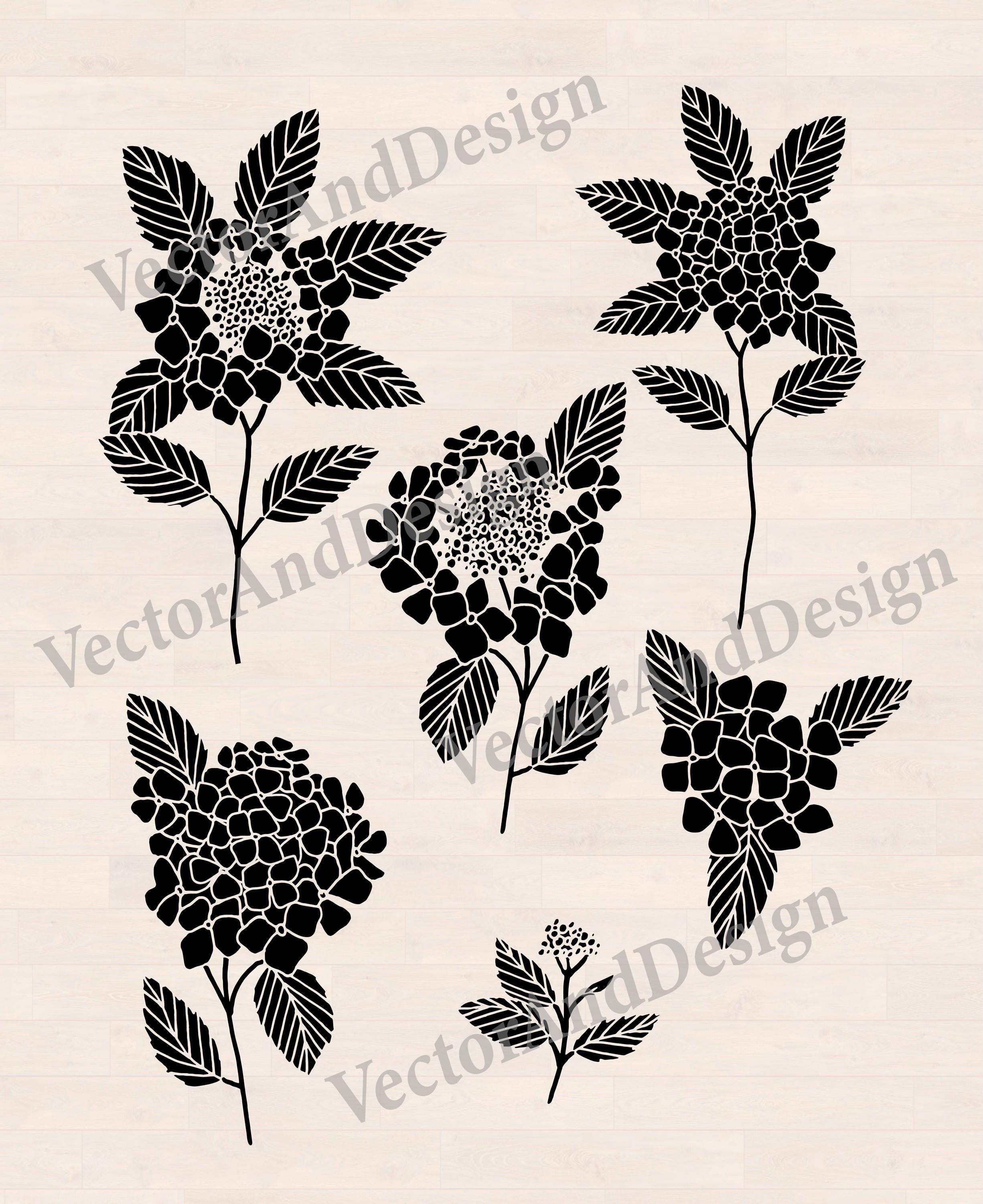 Hydrangea Svg Flower Laser Cut File, Floral Garden Cricut, Botanical ...