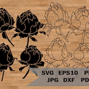 Rosenknospen Vorlage svg, Blumenmuster zum Schneiden und Dekorieren, Rosen Schablone, SVG-Schnittdatei für Cricut und Silhouette