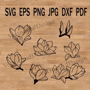 マグノリアの花のSVGファイルTシャツ、ポストカード、招待状、名刺、その他のスクラップブックのデザインに