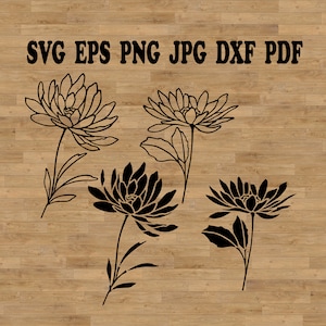Crisantemo SVG, flor de crisantemo, flor de nacimiento SVG, archivos de corte de flores silvestres, plantilla de flores silvestres, SVG de flores silvestres, SVG de margarita