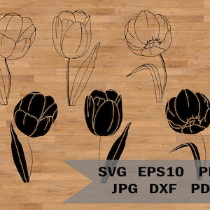 Tulips template svg, tulips clipart, floral svg, botanical svg, flower design svg, spring svg, Tulip vector, Bouquet svg, Flower Cricut