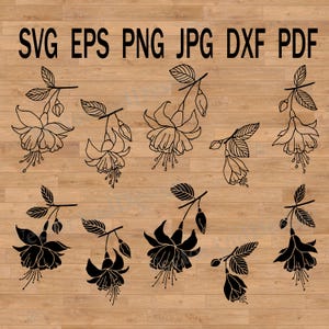 Flores fucsias SVG para diseño de tarjetas de presentación, logotipos, scrapbooking, postales