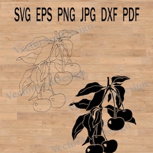 Cherry branch svg, berries illustration, cherry vector art, fruits clipart PNG, cherries image