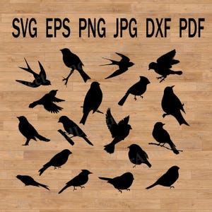 Birds Silhouette SVG Bundle | Bird Clipart, Flying Bird Cut Files for Cricut & Silhouette, Digital Download
