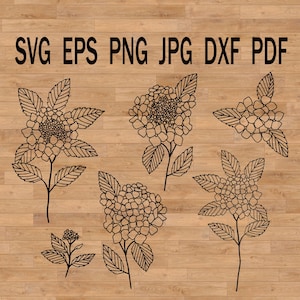 Archivo de corte de flores de jardín con hortensia svg, archivo de corte de flores de Cricut svg, Svg de jardín, clipart de hortensia, clipart SVG PNG botánico