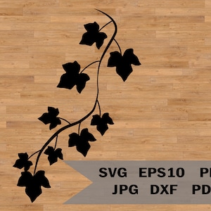Ivy branch svg, ivy Digital Download, Ivy Leaf, Leaf Silhouette SVG, Leaf SVG, vines svg, vines vector, vines clipart, Ivy birthday