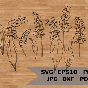 Konwalia svg, Retro kwiat svg, kwiat wektorowy, lilie svg, kwiat lilii svg, clipart kwiatowy svg, Kwiat narodzin maja, linia sztuki kwiatowej