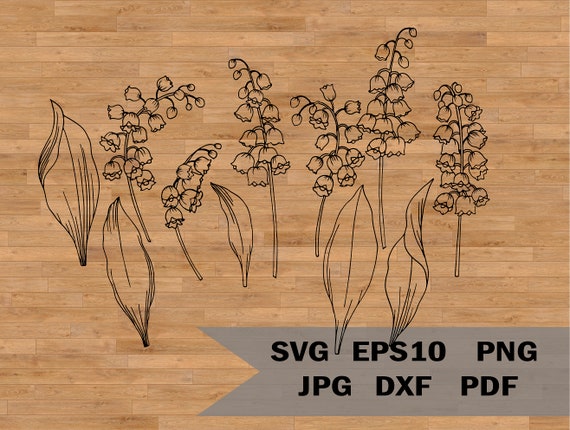Lily of the valley svg, Retro flower svg, vector flower, lilies svg, lily flower svg, flower clipart svg, May Birth Flower, floral line art