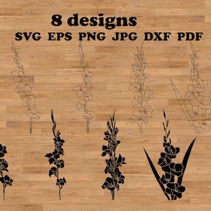 Gladiolo Svg, arte lineal floral, flor esbozada, flor de gladiolo, botánico dibujado a mano, sello de flores digital, flor de cumpleaños Svg