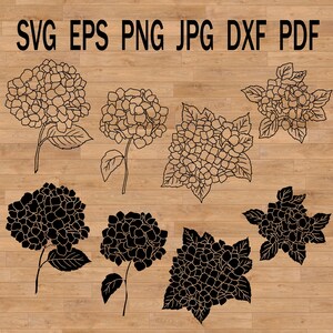 Plantilla de hortensia svg Archivo de corte svg floral de Cricut, Svg de jardín, clipart de hortensia, clipart SVG PNG botánico, archivo de corte SVG de flores de jardín