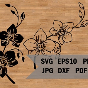 Plantilla SVG de orquídea, silueta de rama de orquídea, flores, hojas tropicales, archivo de corte de plantilla, SVG para Cricut y Silhouette, plantilla tropical